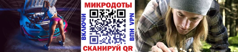 Купить где  Горно-Алтайск  Галлюциногенные грибы Magic Shrooms 
